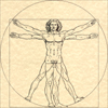 davinci